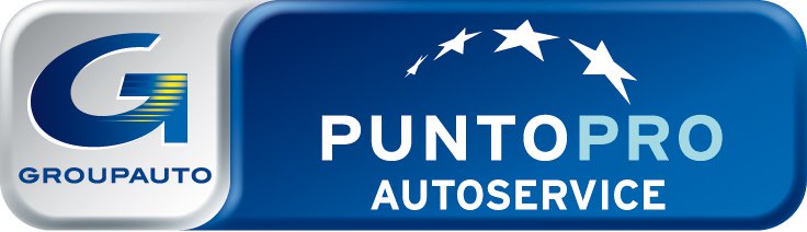 PUNTOPRO logo